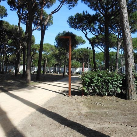 Albatross Mobile Homes On Camping Waikiki Lido di Jesolo Bagian luar foto